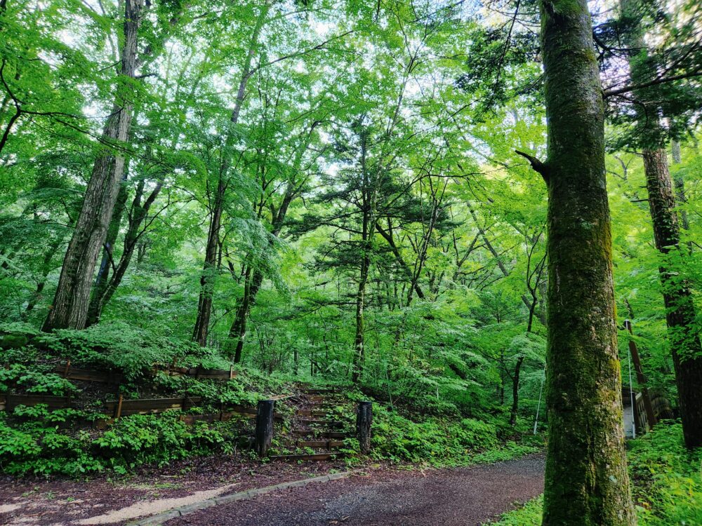 2026年3月のお休み