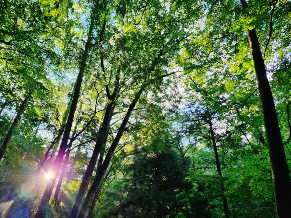 2026年4月のお休み